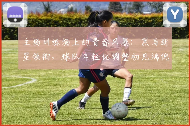主场训练场上的青春风暴：黑马新星领衔，球队年轻化调整初见端倪