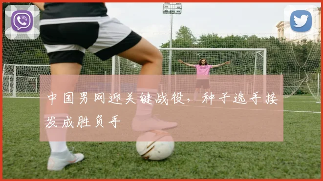 中国男网迎关键战役，种子选手接发成胜负手