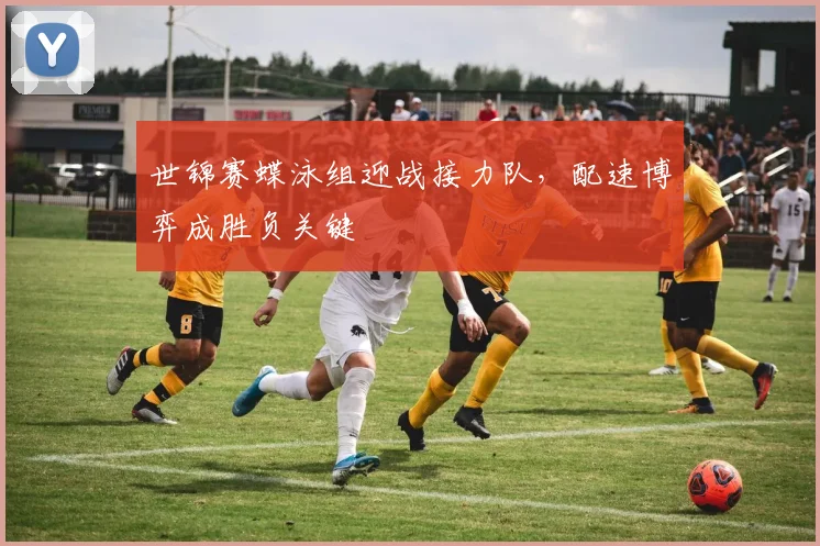 世锦赛蝶泳组迎战接力队，配速博弈成胜负关键